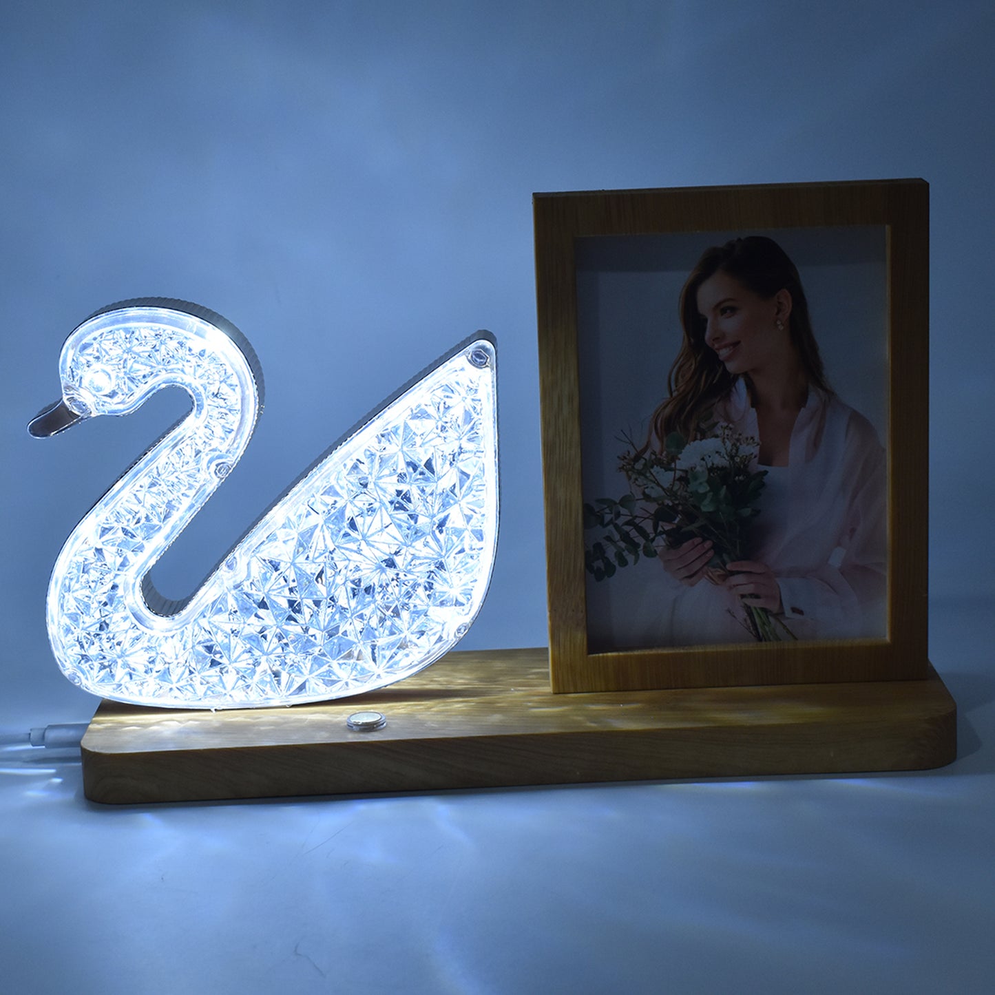 Duck Shape Cystal Led Lamp