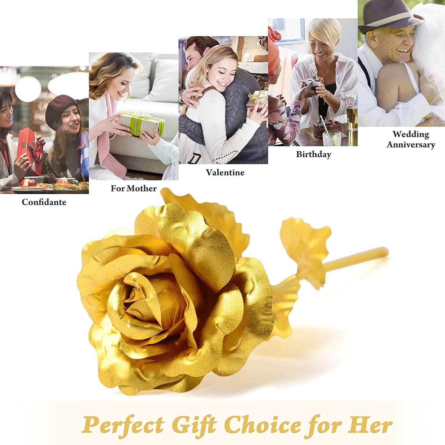 Golden Rose With Premium Box