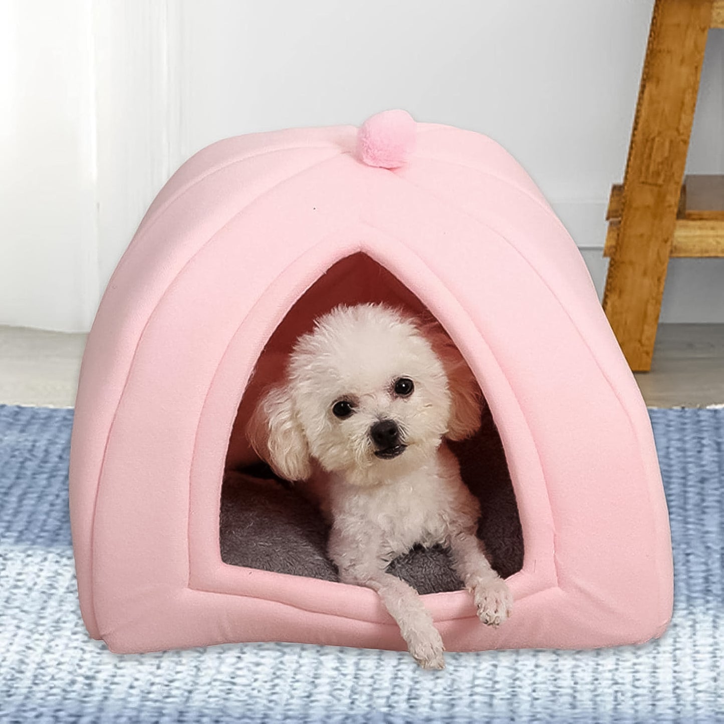 Cute Pet House
