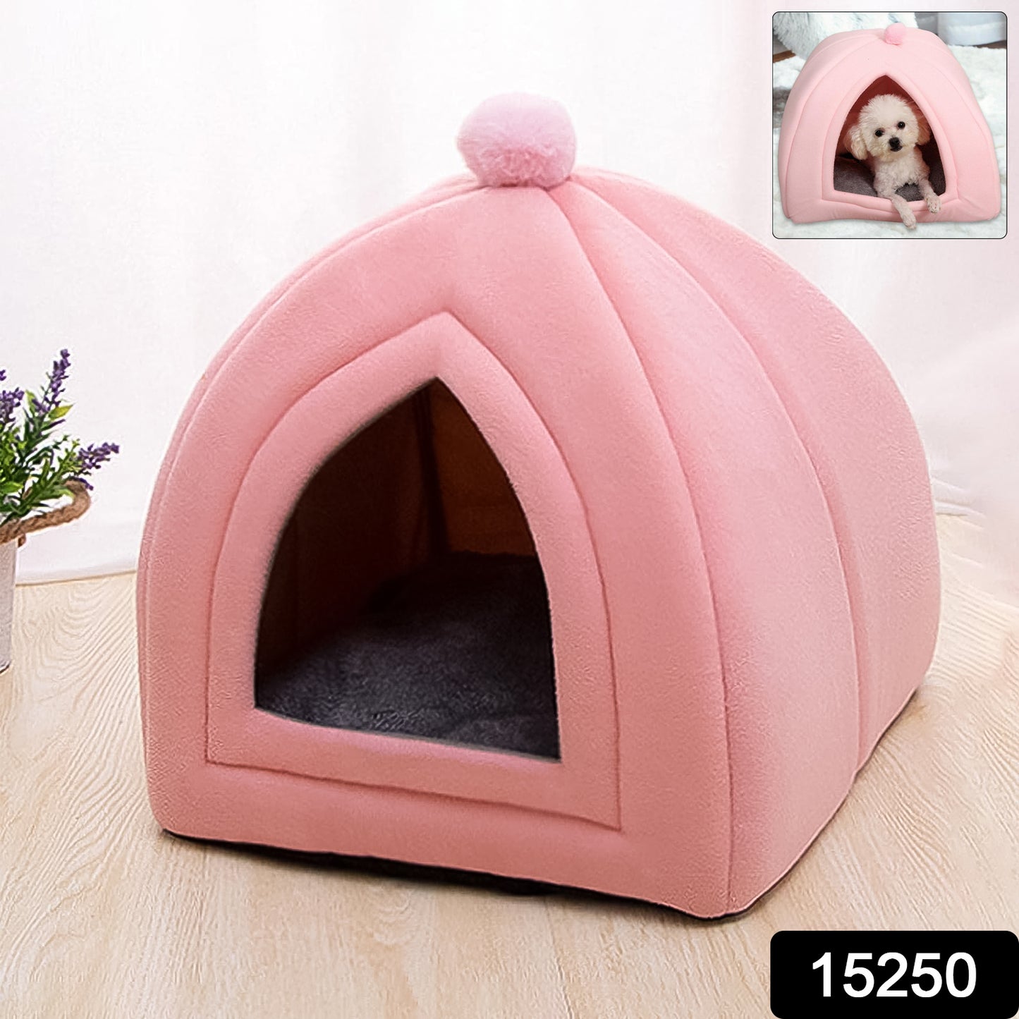 Cute Pet House