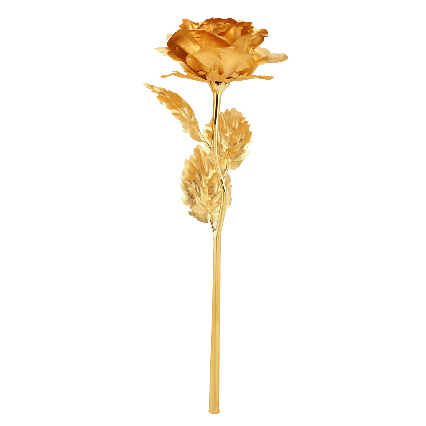 Golden Rose With Premium Box