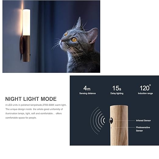 Glass Wood Motion Sensor LED Light