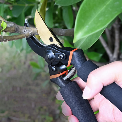 Garden Pruning