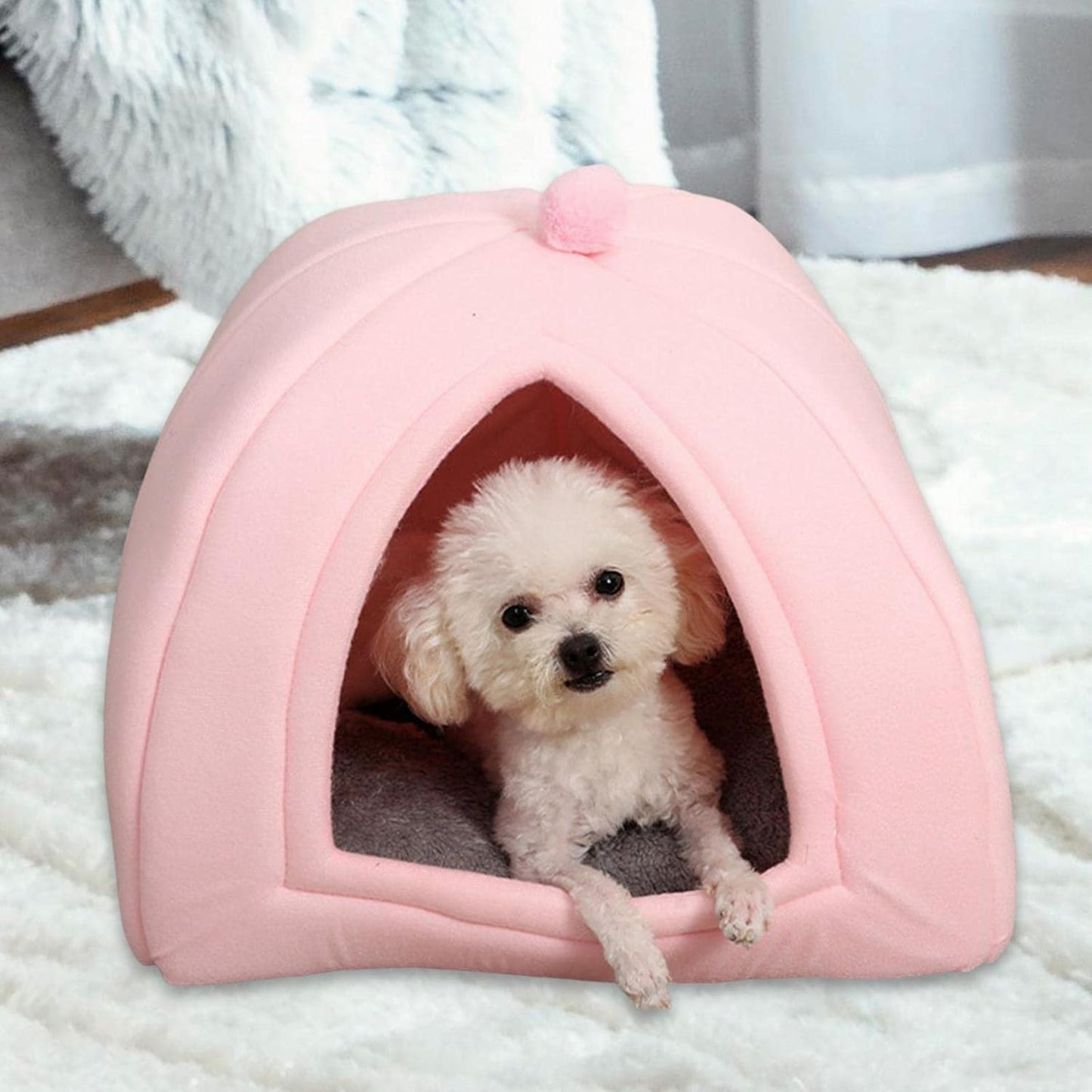Cute Pet House