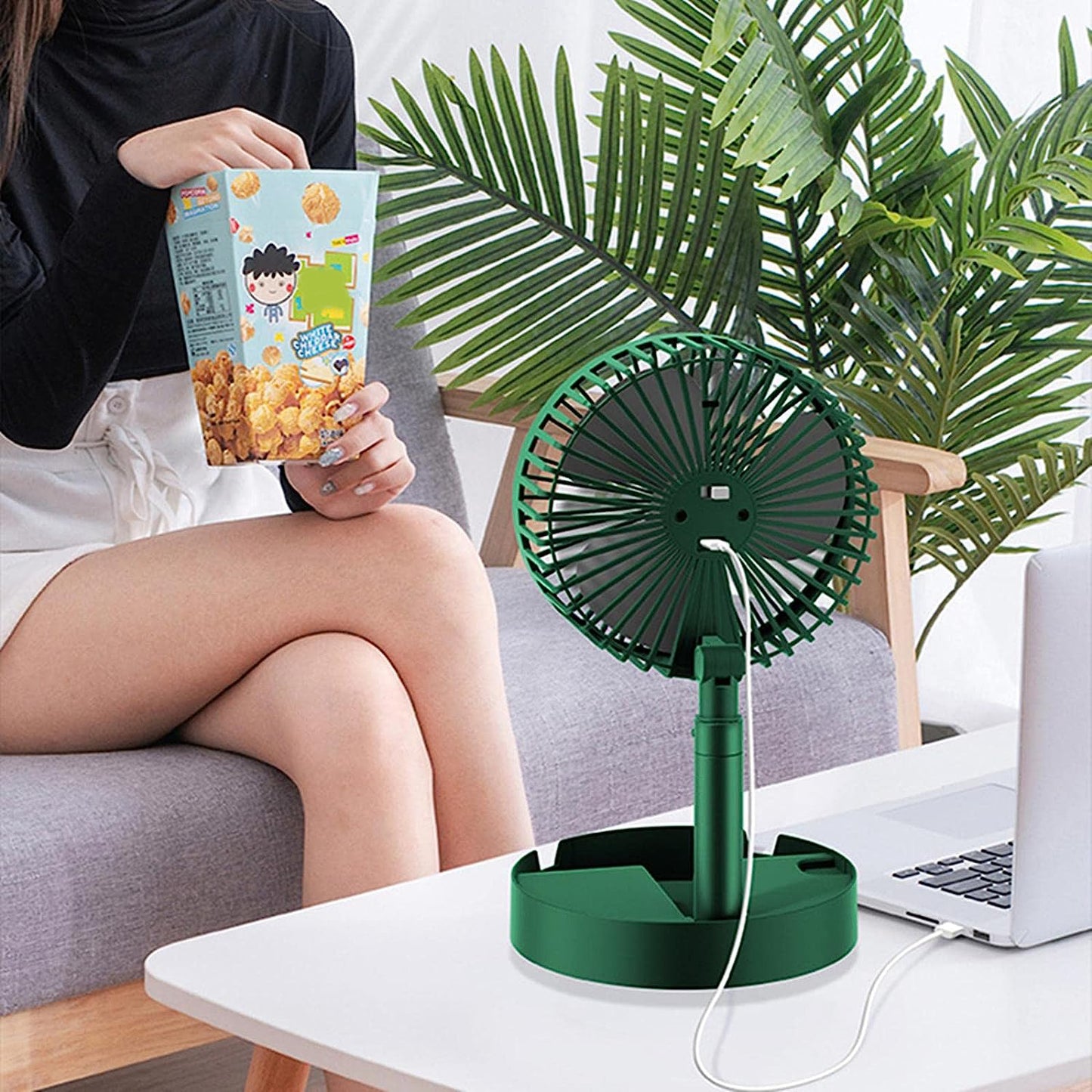 Desktop Fan