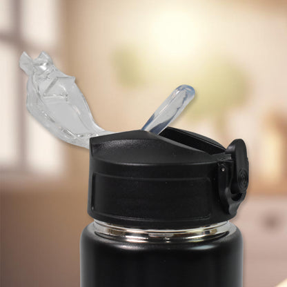 Stainless Steel Insulated Water Bottle (3 Pcs Set  Different Size)