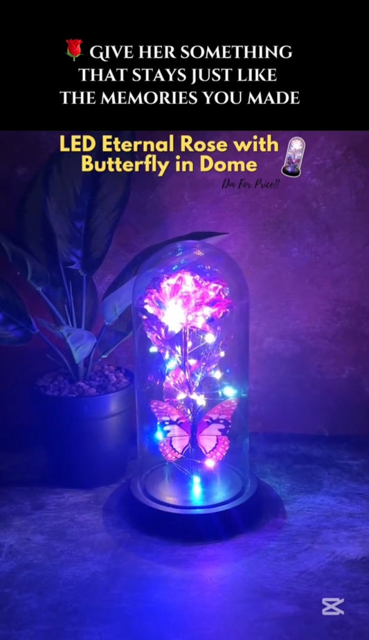 Led Preserved Rose With Colorful Butterfly In Plastic Dome (1 Pc  Mix Color)