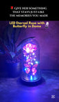 Led Preserved Rose With Colorful Butterfly In Plastic Dome (1 Pc  Mix Color)