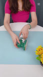 Steam Iron